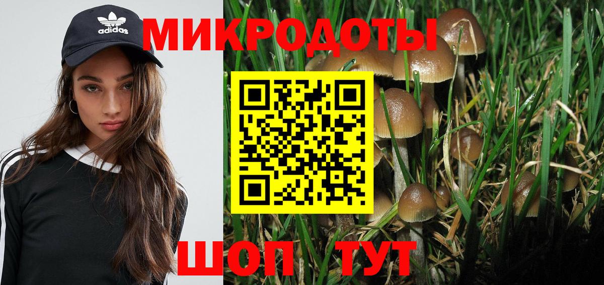 Елабуга  Псилоцибиновые грибы Magic Shrooms  Вход с VPN 